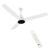 RR EFFY 26 Watt BLDC 5 Star Rated Designer Ceiling Fan, With 70% Energy Savings, With Smart Remote & LED Lights, Ceiling Fan for Home and Office, 2 Year Manufacturer Warranty (White)