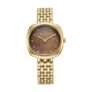Titan Aura Phase Quartz Analog Brown Dial Golden Stainless Steel Strap Watch for Women-95241YM01