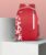 SKYBAGS BRAT 21.65 L Backpack(Red)