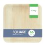Clazkit 50 Pack Areca Square Palm Leaf Plates| Like Wooden Bamboo | Eco Friendly, Biodegradable, Use and Throw Small Dona | for Serving Pasta, Soup & Snacks | Birthday, Wedding & Party (6″ X 6″)