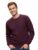 Neostreak Men’s Fleece Round Neck Regular Fit Sweatshirt (Neoswtsol-01-Ptpurp_Purple_M