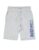 U.S. POLO ASSN. Regular Fit Boys Shorts – Mid Rise Waist, Brand Printed Kids Shorts – 12T, Grey