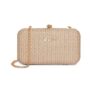 Lavie Women’s Sparkle Framed Clutch Gold Metallic Ladies Purse Handbag