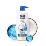 Parachute Advansed Anti-Dandruff Shampoo with Coconut Milk & PO Tech | Up to 100% Dandruff protection | for Strong Healthy Scalp | Paraben free | For Men & Women | 650ml