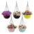 Go Hooked Plastic Hanging Pot, Multicolour, 7.1 Inch, 5 Pieces (RAttanPlanterSetof5)