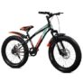 Leader Speedy Bike 20T Kids Cycle with Front Suspension | DD Brake | Ideal 7-10 Years 20 T Fat Tyre Cycle – Matt Black