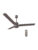 Reo by Havells Unnovate|Remote Controlled|Reverse Rotation Mode| Timer Setting| Low Noise with 2 Year Warranty BLDC Motor 1200 mm Ceiling Fan(5 Star | Cocoa Brown | Pack of 1)