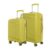 Kamiliant by American Tourister Rock-Lite 66L Hard Sided Trolley Bag for Men & Women with 3 Digit Combination Lock, Set of 2pc (Small & Medium) – Cress Green
