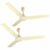 Havells Pacer 1200mm 2 Star Energy Saving Ceiling Fan (Bianco, Pack of 2)