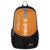 F Gear Credit 30 Ltrs Backpack (Cathy Black)