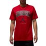 Nike Men’s Regular Fit T-Shirt (HQ0009-687_Gym RED Black
