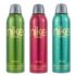 Freshia Stainless Steel Insulated Flask