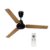 Crompton Energion HS Wood 1200mm (48 inch) High Speed 5S Energy Efficient BLDC Ceiling Fan (Light Pinewood), Pack of 1