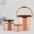 Cello Stella Bathroom Set | Sturdy and Durable | Lightweight and Rigid | Easy to Clean and Attractive Design | Set of 3, Peach