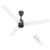 Polycab Wizzy Plus 1200mm 5-Star BLDC, Remote Ceiling fan for Living Room| 55% Energy Saving, 100% Copper, High Air Delivery, Free Installation | 3+1 yr Warranty【Matt White Black】