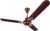 Hindware Smart Appliances Ventus Brown Gold 1200Mm Ceiling Fan 2 Stars Rated With Metallic Finish Energy Efficient High-Speed Air Delivery Fan Comes With 49W Motor And Aerodynamic Aluminium Blades