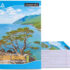 Classmate Longbook A4 Notebook Single Line 72 Pages(Multicolor, Pack of 12)