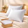 BSB HOME Decorative Throw Pillows for Sofa & Bed, Soft & Fluffy Plush Microfibre Filled Pillows for Couch, Bedroom & Living Room – White, Pack of 2, 16 x 24 Inches (40 x 60 cm)