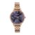 Sonata Verve Quartz Analog with Navy Blue Dial Rose Gold Sheet Metal Strap Watch for Women – 87102WM01
