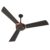 Polycab Superb Neo Star Rated, 1200Mm Ceiling Fan For Home | High Speed & Air Delivery | Saves Up To 33% Electricity, 100% Copper, Rust-Proof Blades, 52 Watt | 2-Yr Warranty【Jaco Bean Bronze Gold】