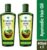 BAJAJ Brahmi Amla Pack of 2 Hair Oil(800 ml)